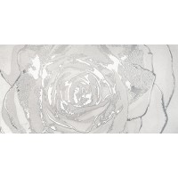 Dec.Omnia white silver 60*120