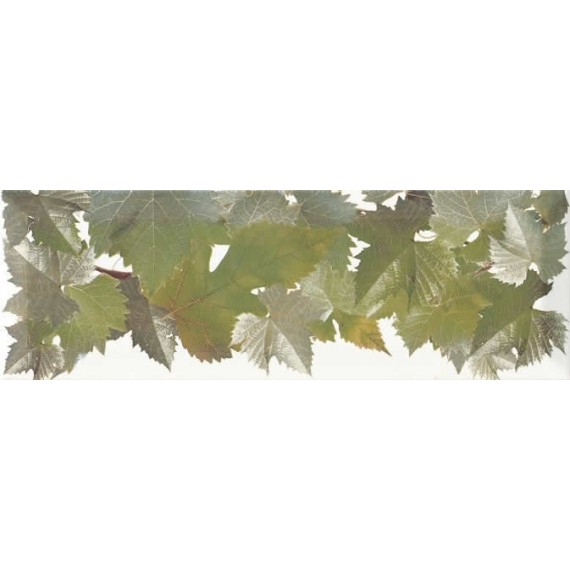 Керамическая плитка Decor Cenefa Hojas Blanco 10х30