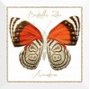 Decor Farfalla Arancione 30*30