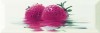 Decor Fresh Fresa 10x30