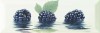 Decor Fresh Mora 10x30