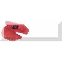 Decor Poppy 01 10X30