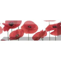 Decor Poppy 04 10X30