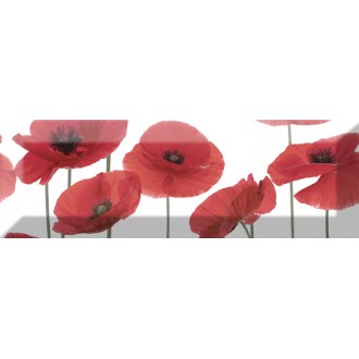 Decor Poppy 04 10X30