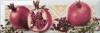 Decor Tutti Frutti Melagrana 10x30