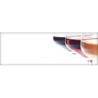 Decor Wine 02 B 10X30