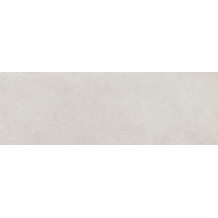 Delf Cenere Rectificado 33.3x100