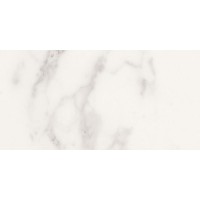 Delux White Refl. Rett 29,5х59