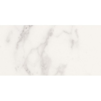 Delux White Refl. Rett 29,5х59