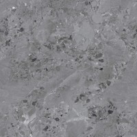 Dicios Grey Glossy 60x60