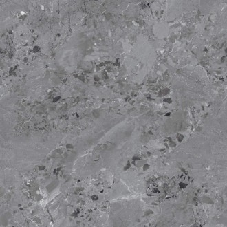 Dicios Grey Glossy 60x60