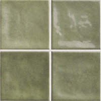 Dix Chaouen Forest 20x20