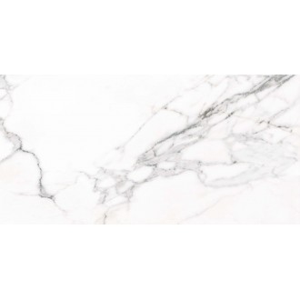 Doney-R Blanco 59.3x119.3
