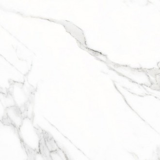 Doney-R Blanco Pulido 119.3x119.3