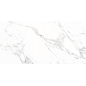 Doney-R Blanco Pulido 59.3x119.3