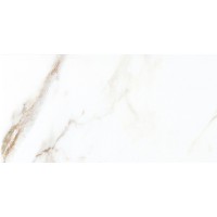 Dorian Gold Polished 60x120