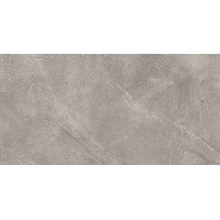 Dosimo Grey серый 60х120