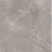 Dosimo Grey серый 60х60
