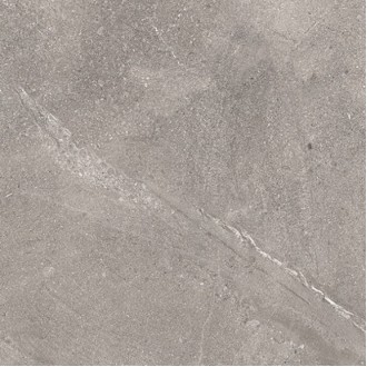 Dosimo Grey серый 60х60