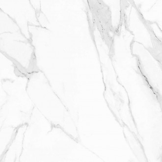 Du 5004 BG B Polished 60x60