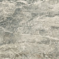 Dune Gris brillo 60,8x60,8