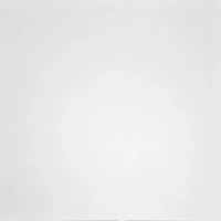 E-100/M Моноколор 60x60