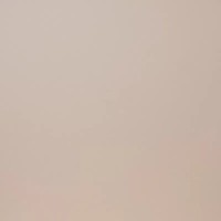 E-110/M Моноколор 60x60