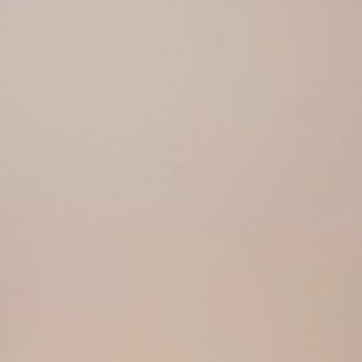 E-110/M Моноколор 60x60