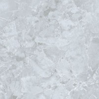 E-3019/MR Genio Серый ректификат 600x600x9