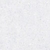 E-5010/MR Level Светло-cерый ректификат 600x600x9