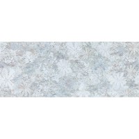 EF 19/Evoque Cielo 20*50