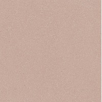 EH6Y Керамогранит Pink Minimal Nat Rett 60x60
