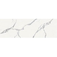 ELITE STATUARIO Polished 240x80