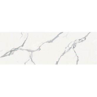 ELITE STATUARIO Polished 240x80