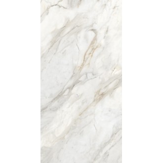 ENMAR8001GL60120 Amulet Glossy 60x120