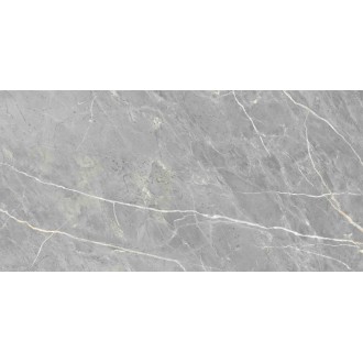 ENSTN8003LM60120 Marcasite Glossy 60x120
