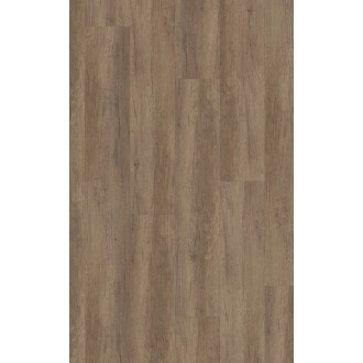 EPD003 Дуб Середа