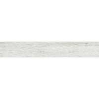 ESP 15RT MY SPACE RICE RETT. 14.7*89.6