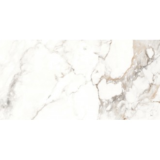 ETMAR1201GL60120 Керамогранит Antique Carrara Glossy 60x120