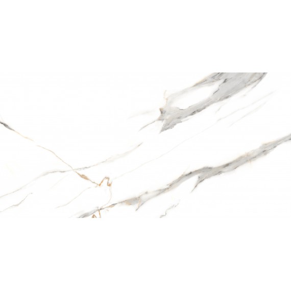 Керамогранит ETMAR1219GL60120 Керамогранит Statuario Rock Glossy 60x120