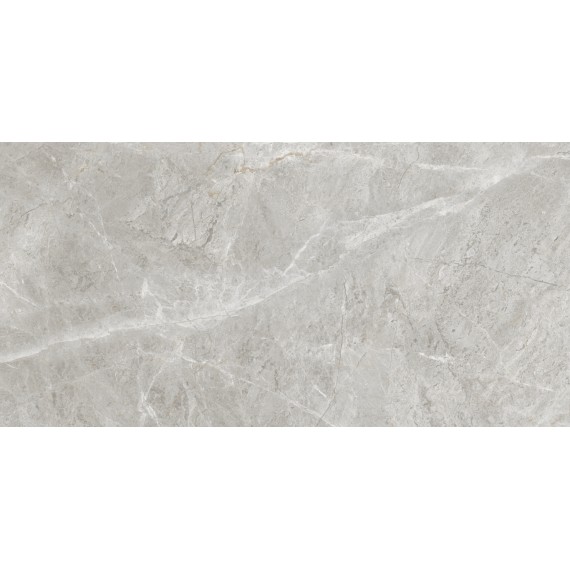 Керамогранит ETSTN1236GL60120 Керамогранит Baltic Grey Glossy 60x120
