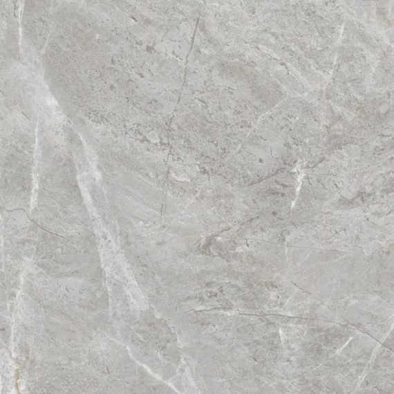 Керамогранит ETSTN1236GL6060 Керамогранит Baltic Grey Glossy 60x60