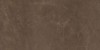 EXEDRA TILES SILK PULPIS 50х100