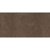 EXEDRA TILES SILK PULPIS 50х100