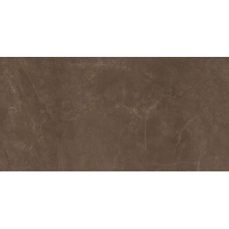 EXEDRA TILES SILK PULPIS 50х100