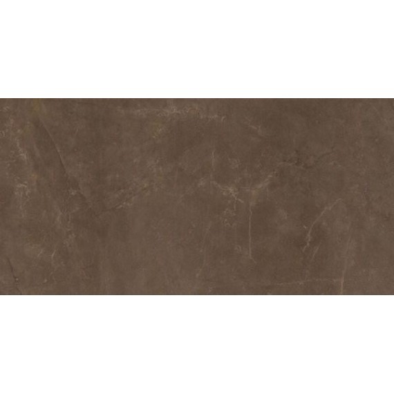 Керамогранит EXEDRA TILES SILK PULPIS 50х100