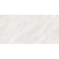 Eco 6381 Polished 60x120