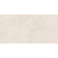 Eco 6523 Polished 60x120