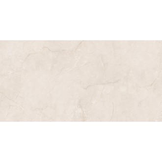 Eco 6523 Polished 60x120