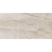 Eco 6536 Polished 60x120